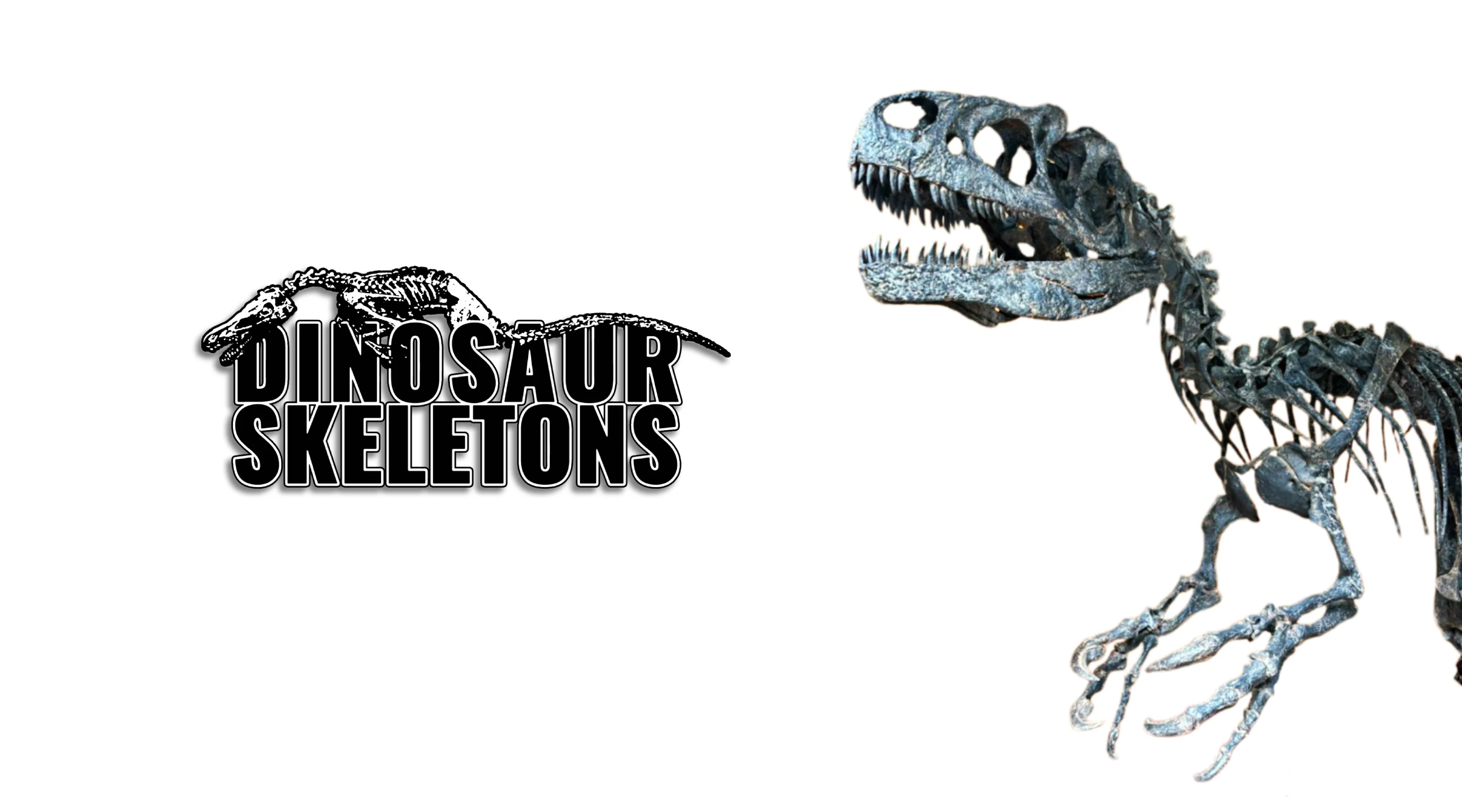 Own History's Greatest Giants