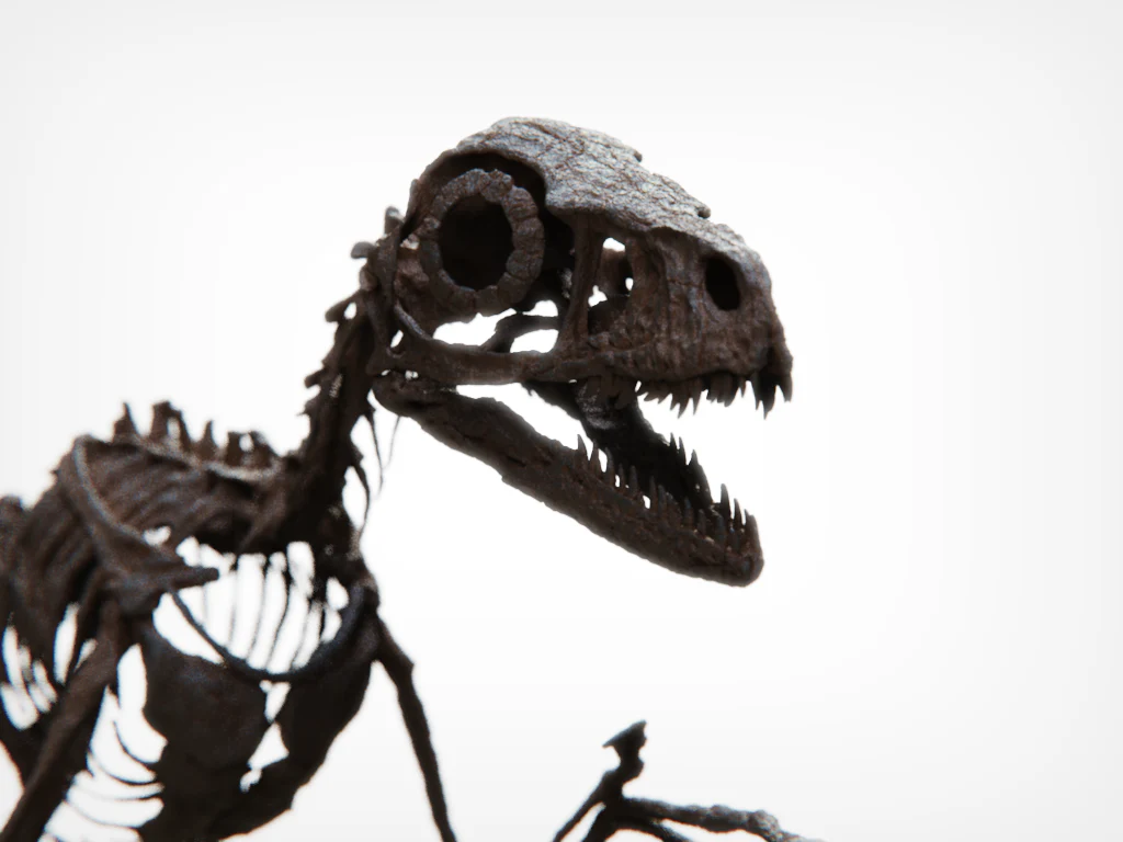 Bambiraptor feinbergi - Dromaeosaurid - Image 3