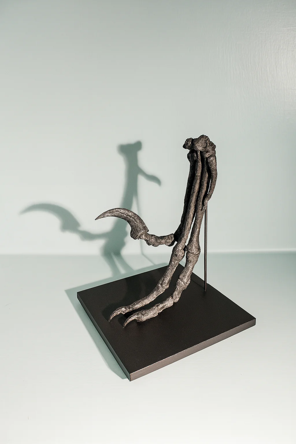 Bambiraptor Killing Claw Foot - Mounted on bespoke steel stand. - Image 3