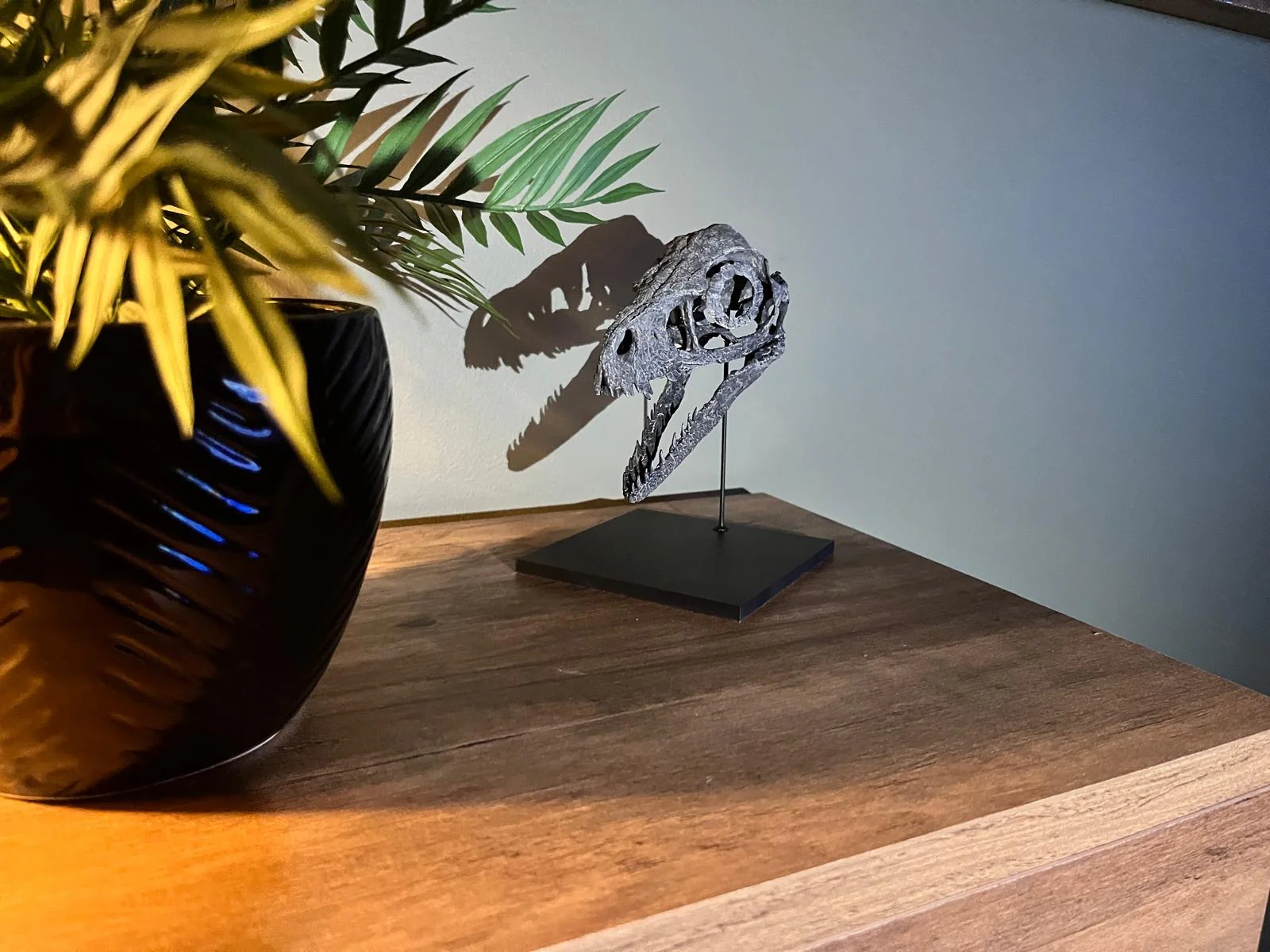 Bambiraptor Skull - Image 3
