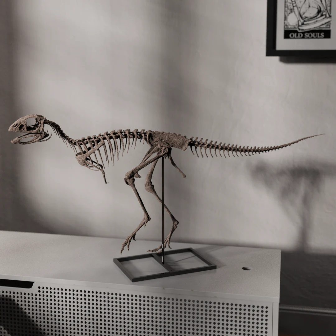 Berthasaura - Image 5