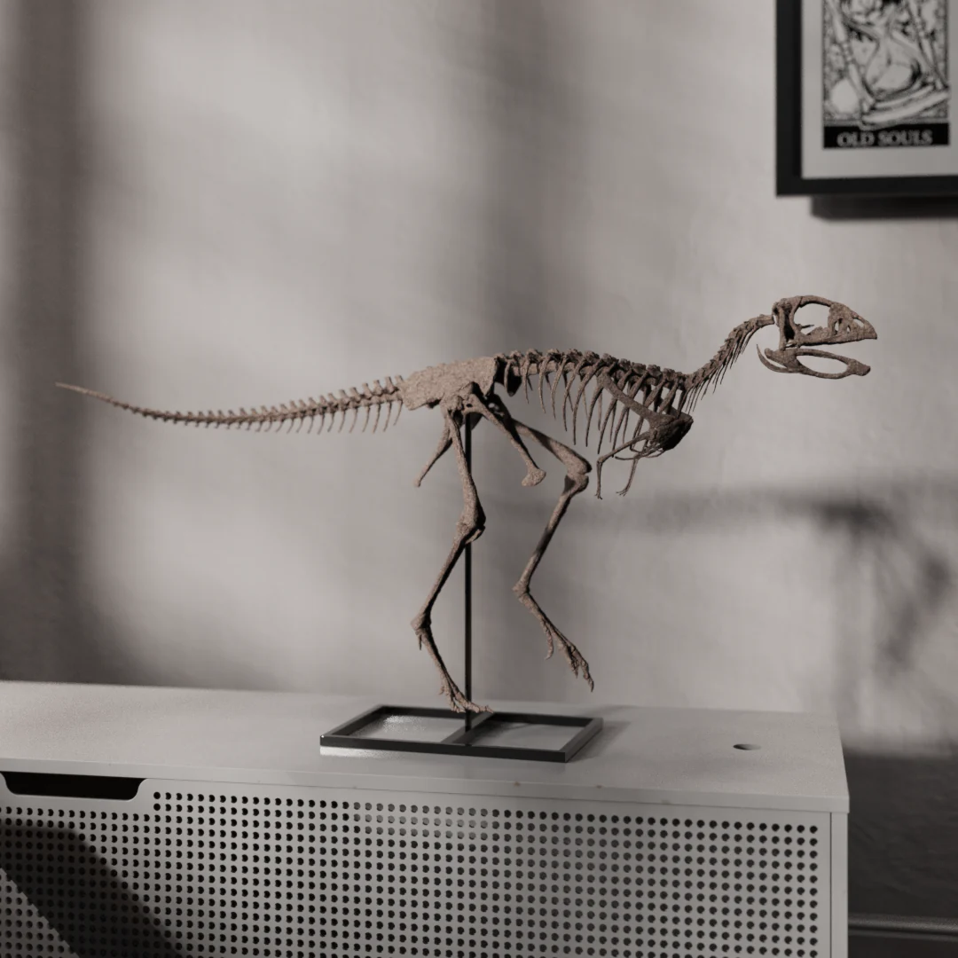 Berthasaura - Image 6