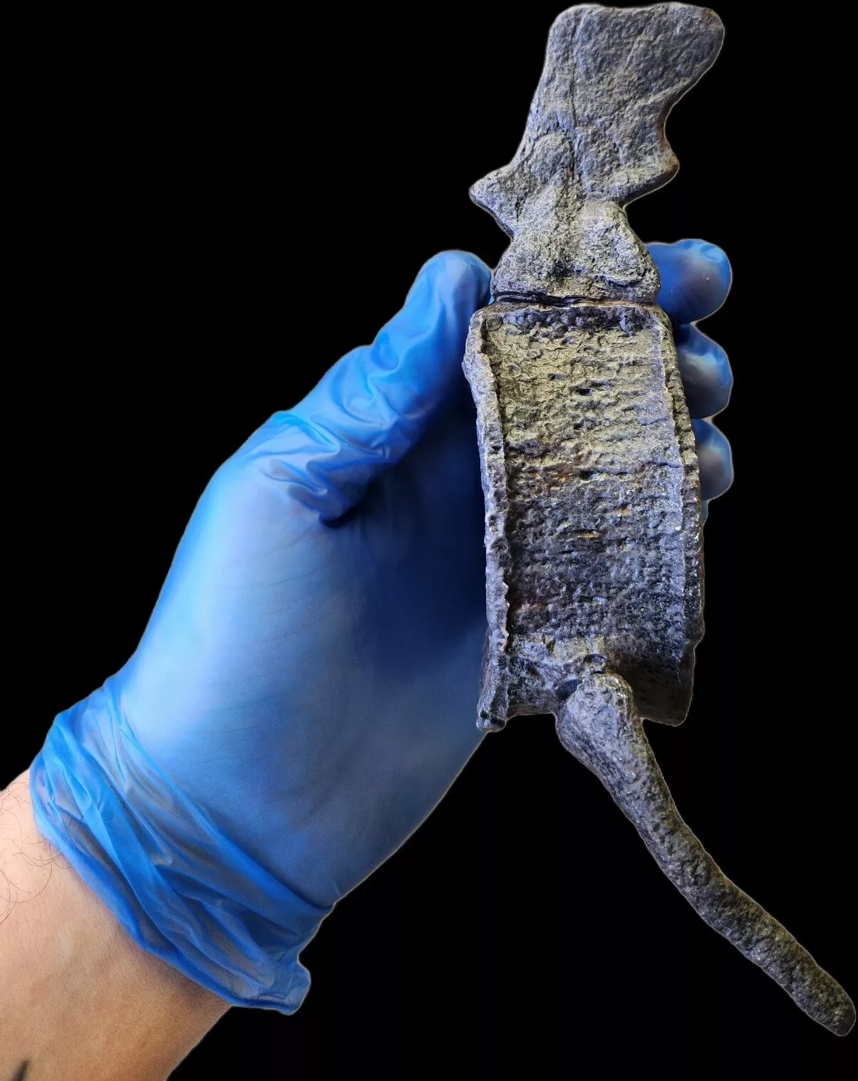 Ichthyosaur Vertebra - Image 3