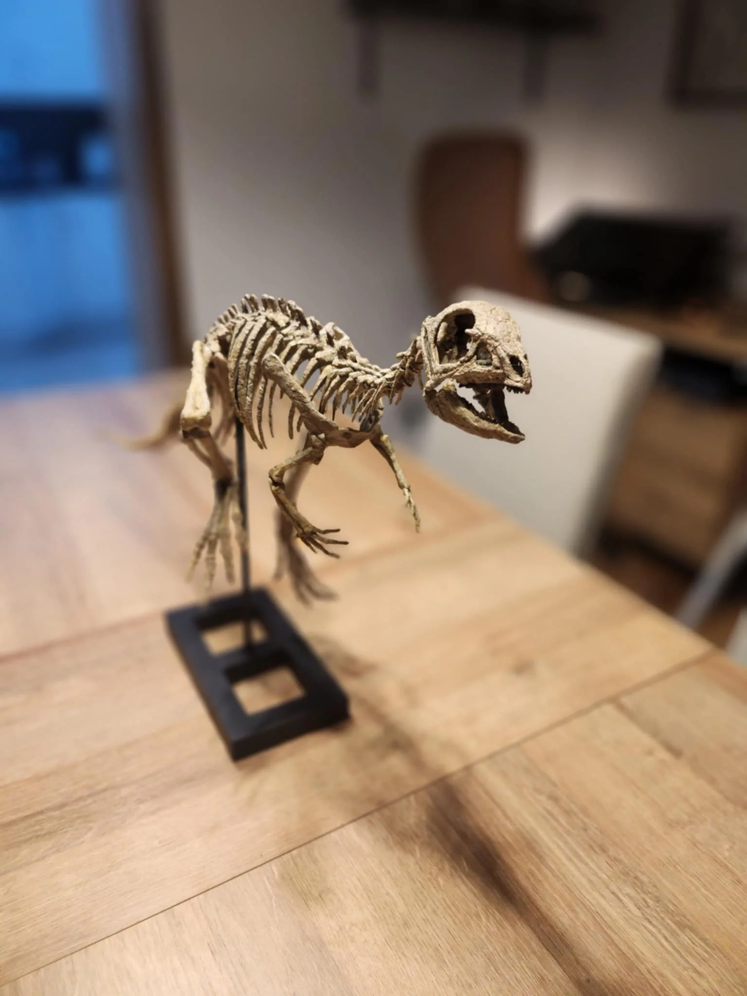 Jeholosaurus - Image 3