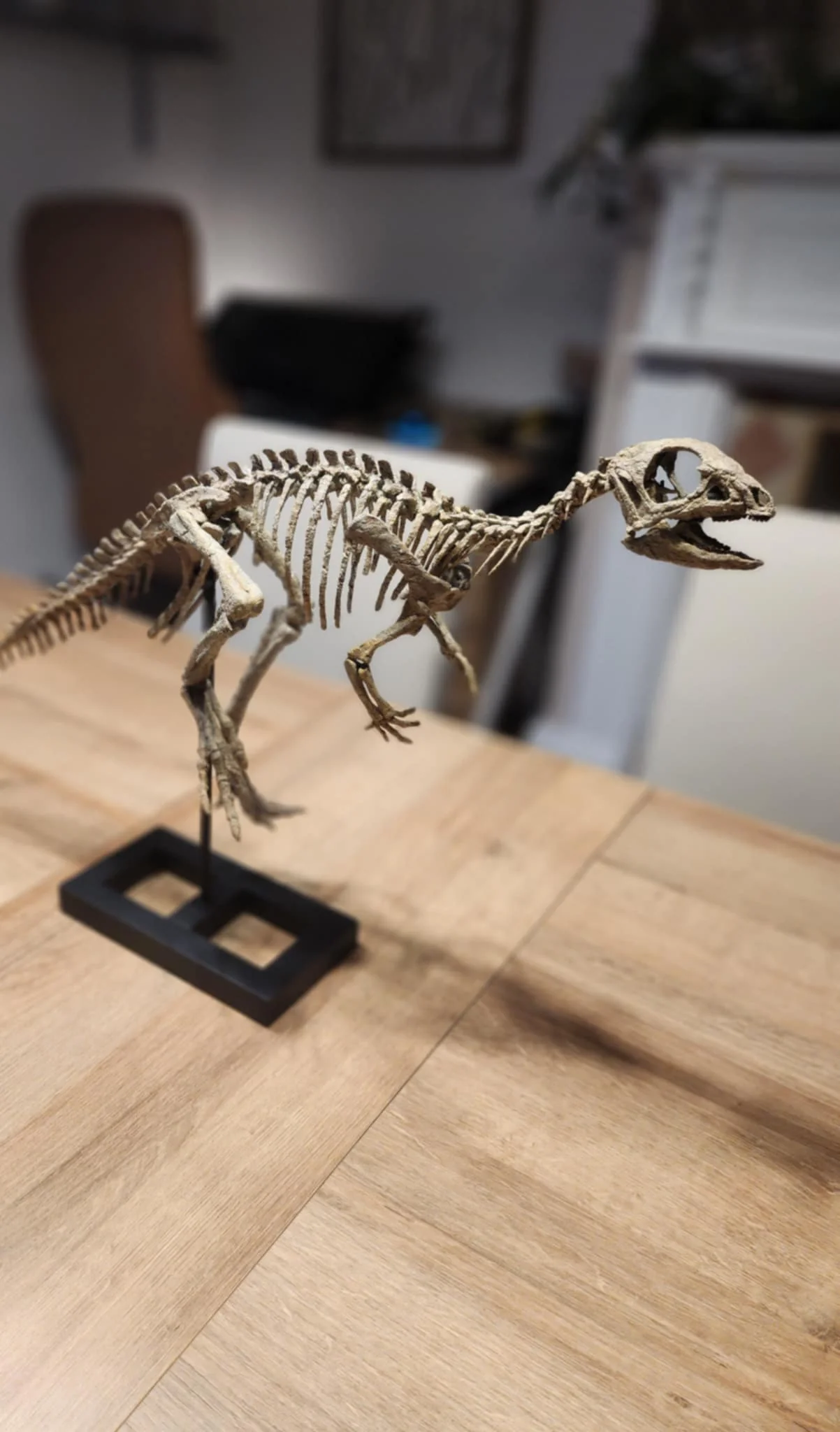 Jeholosaurus - Image 4