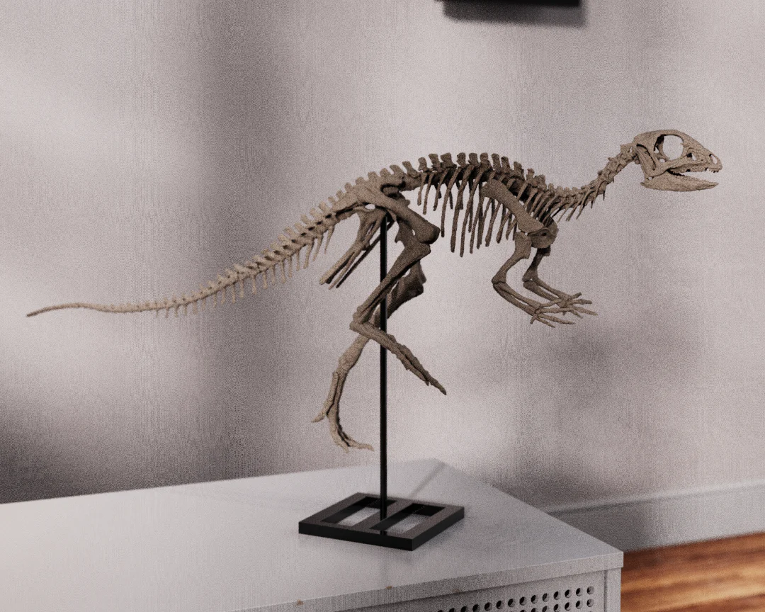 Jeholosaurus - Image 5