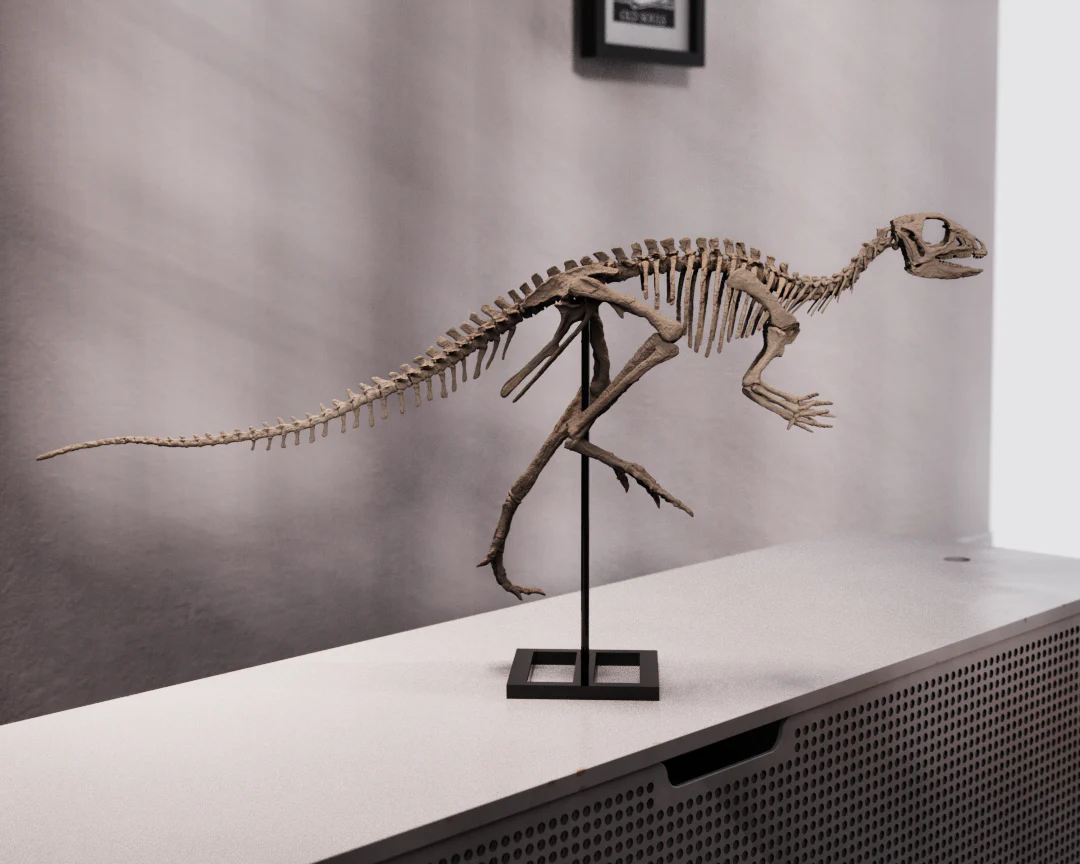 Jeholosaurus - Image 6