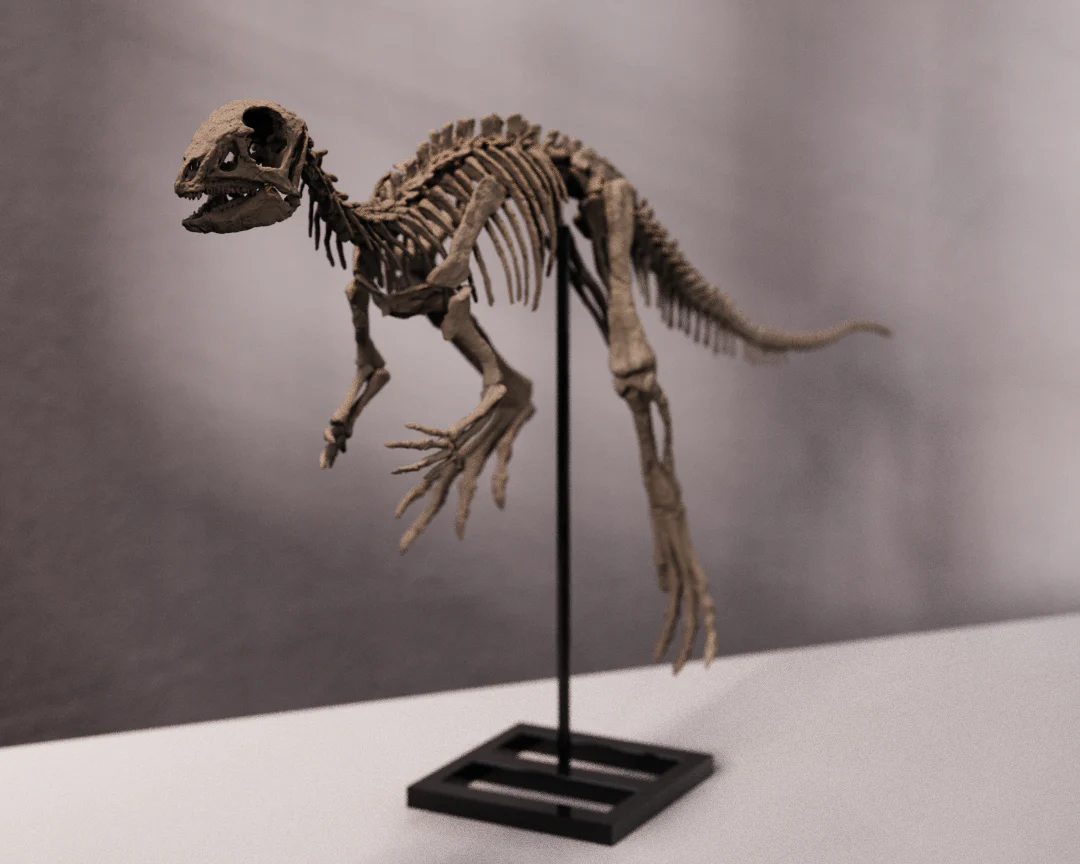 Jeholosaurus - Image 7