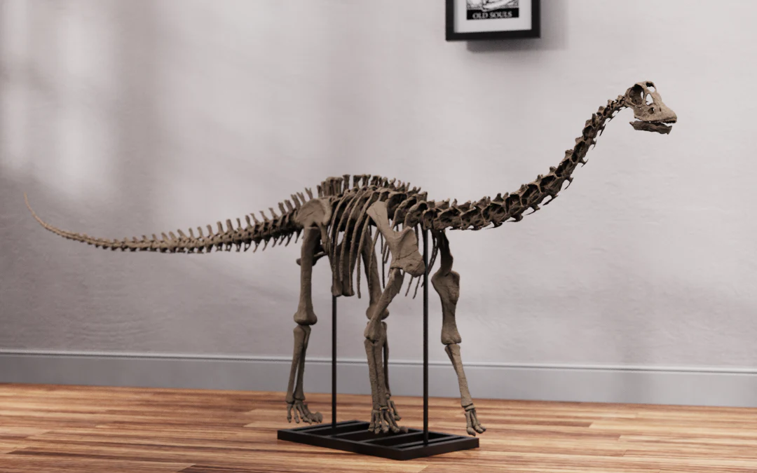 Juvenile Diplodocus - Image 3