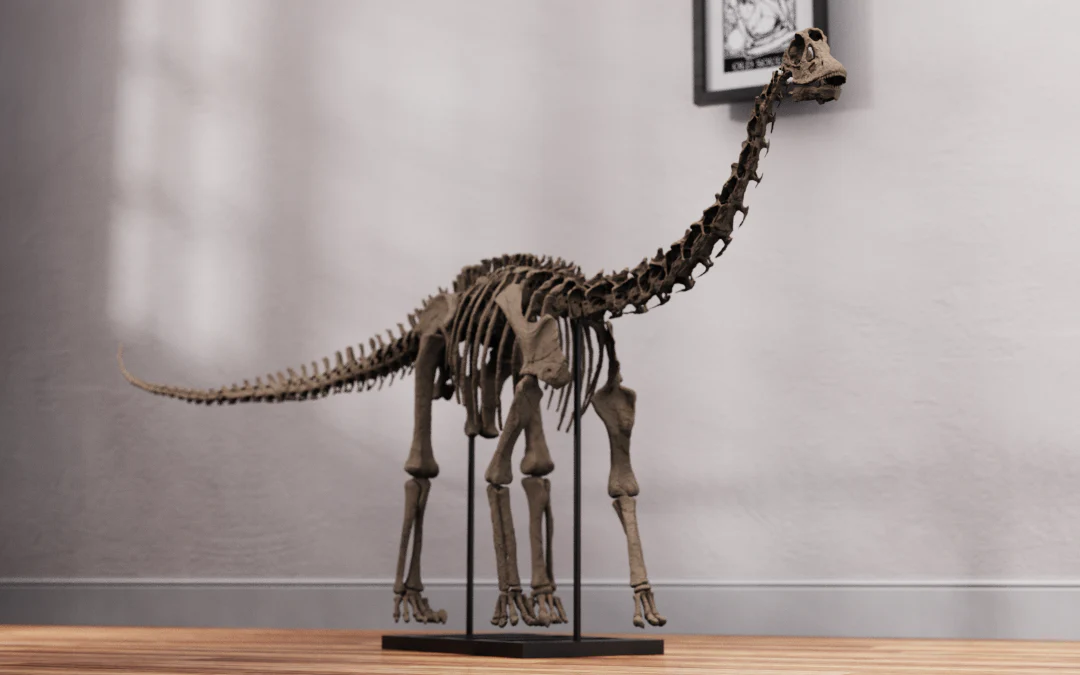 Juvenile Diplodocus - Image 4