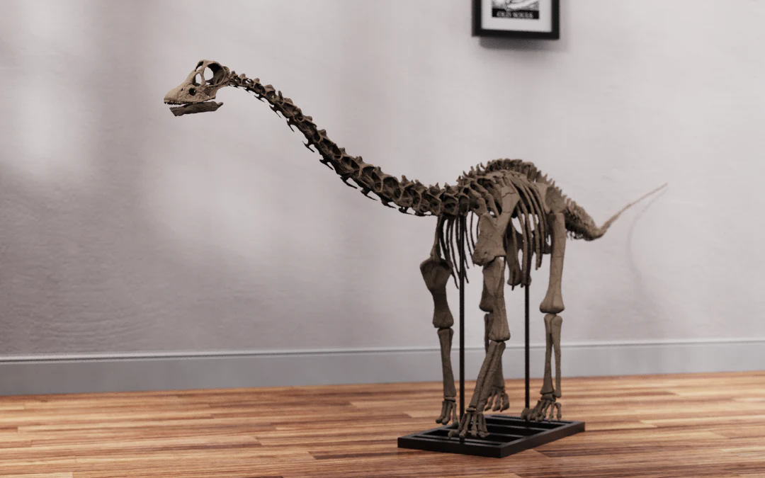 Juvenile Diplodocus - Image 5