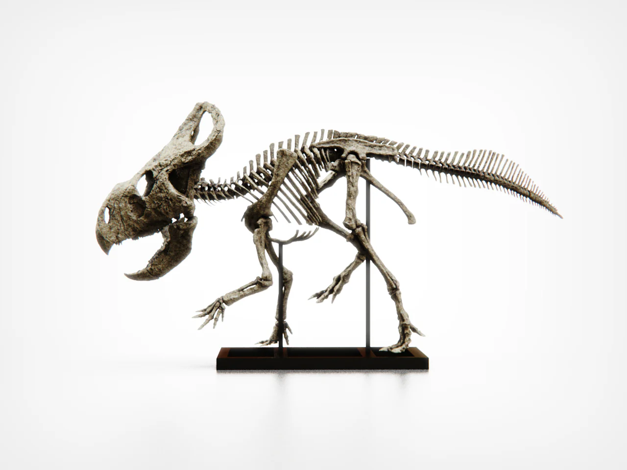 Protoceratops - Image 3