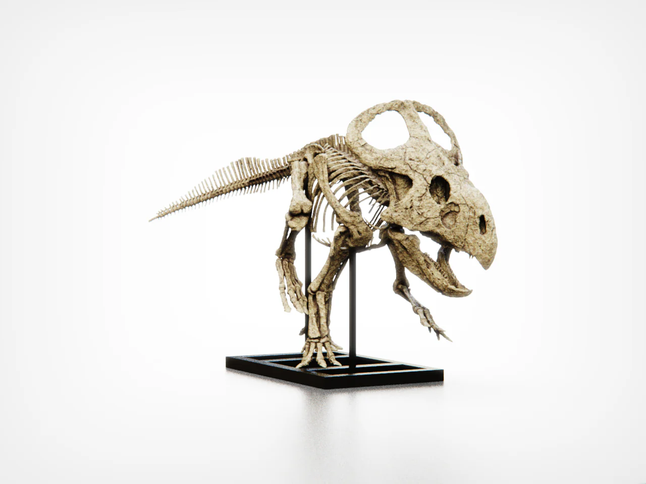 Protoceratops - Image 4