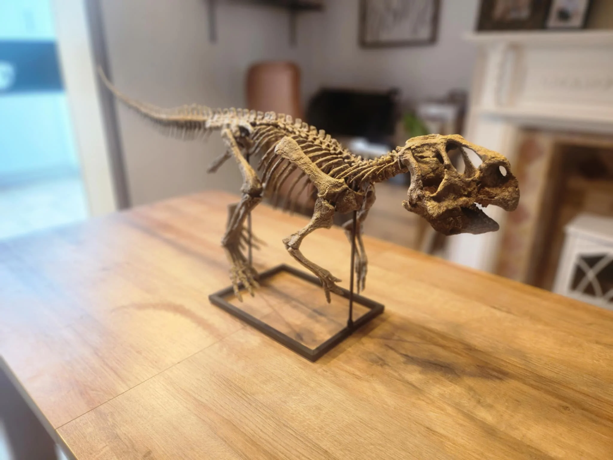Psittacosaurus - Image 3