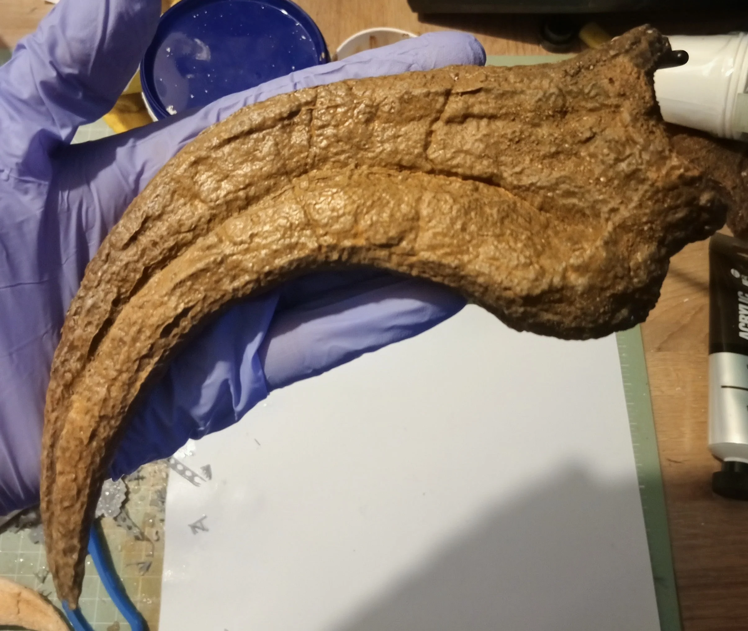 Utahraptor Claw #2 -  8 inches - Image 3